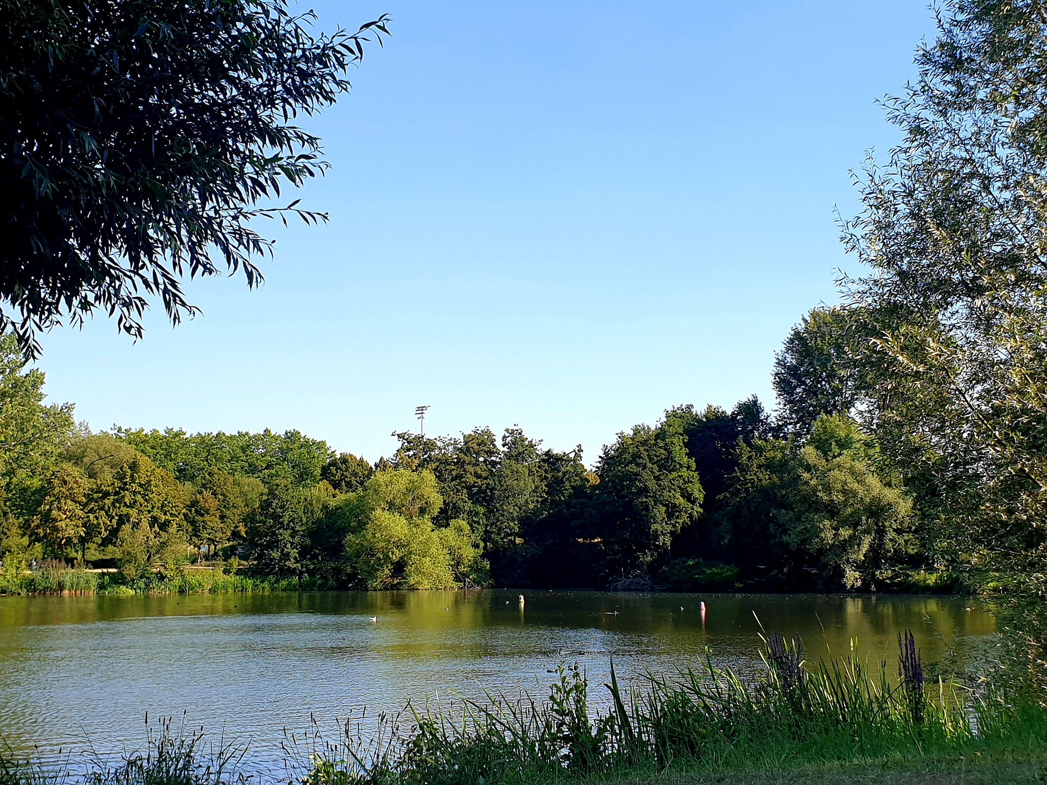 Lake meditation - Lorinda - 20 min - EN
