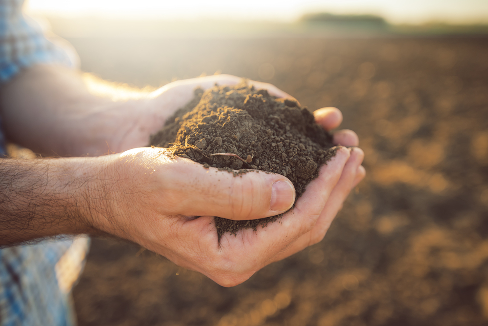 Cultivating Joy with Beate