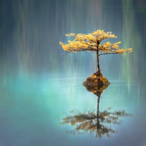 Letting go of a draining relationship- Beate-11 min-EN