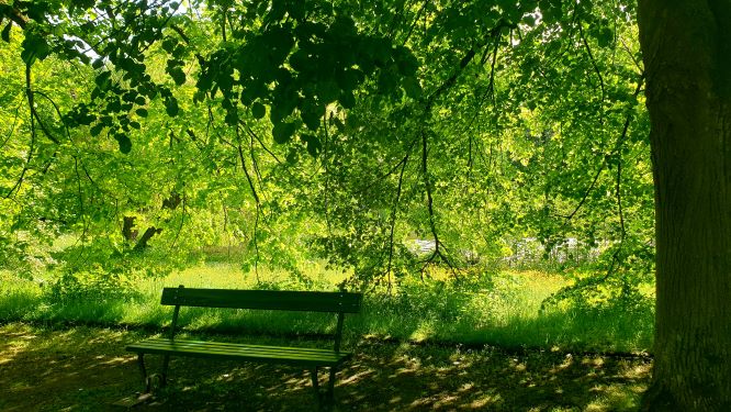 Yoga Nidra Relaxation - Lyuba - 18min - EN