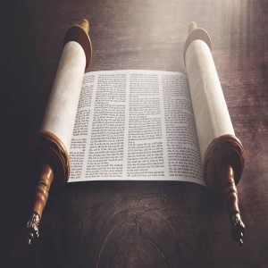 Bible Translations