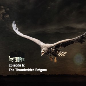 Episode 6: The Thunderbird Enigma