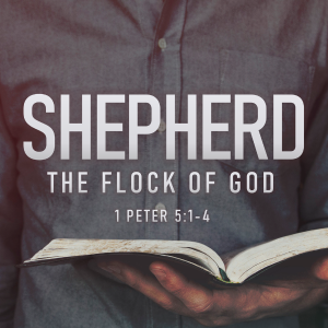 Shepherd the Flock