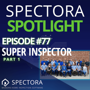 How the largest company in the country keeps growing - Super Inspector - Part 1