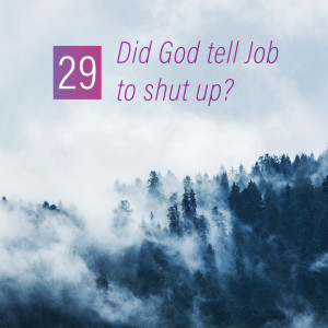 029 - Did God tell Job to shut up?