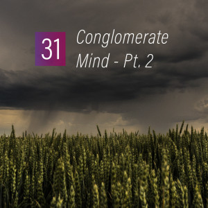 031 - Conglomerate mind Pt. 2