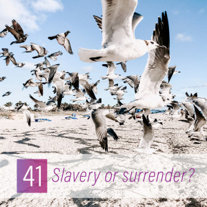 041 - Slavery or surrender?