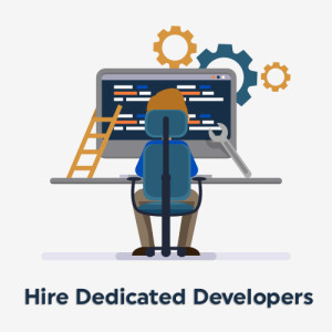 Hire a Dedicated Developer for your Project