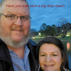 Have you ever seen a pig drop dead?