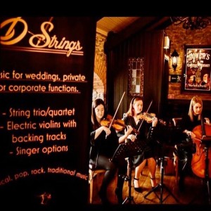 D-strings ensemble (ceremony & pre dinner music)