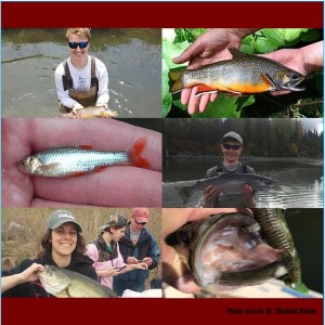 029 - Brook Trout, Topeka Shiner, and Bass Tournaments with Brett Kelly, Alex Bybel, and Andrea Sylvia