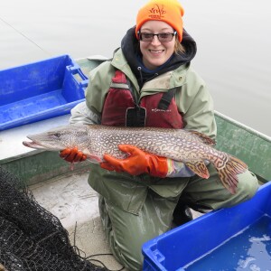 286 - Protecting Wetlands and Native Fishes from Common Carp at Delta Marsh with Paige Kowal of Ducks Unlimited Canada