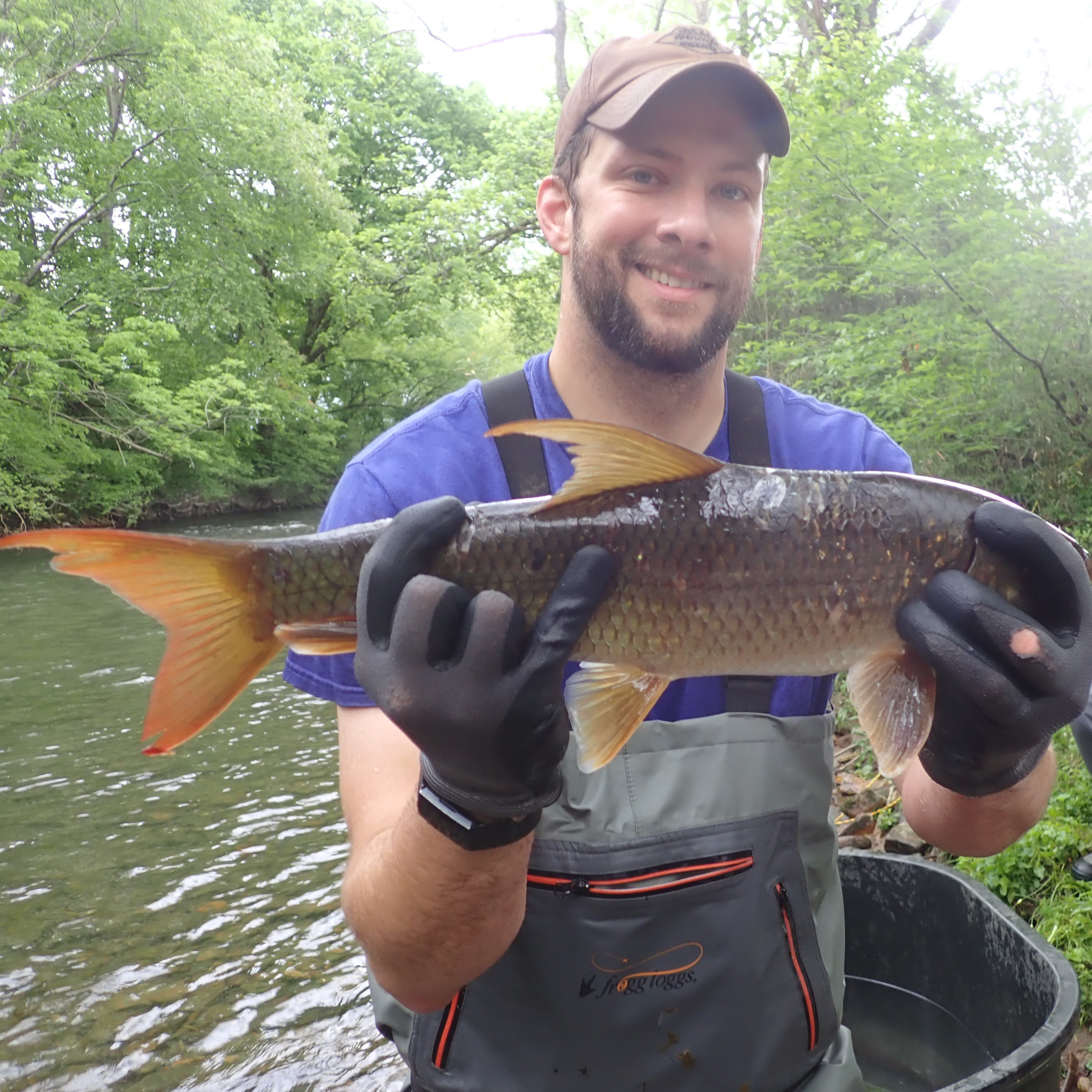 304 - The Sicklefin Redhorse and maintaining aquatic diversity with Dr. Luke Etchison