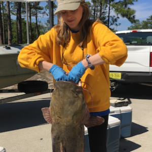 153 – Flathead Catfish in the Cape Fear River with Claire Pelletier