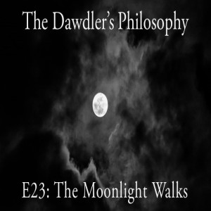 E23: The Moonlight Walks - Aesthetics in Science