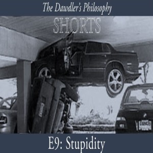 Shorts - E9: Stupidity