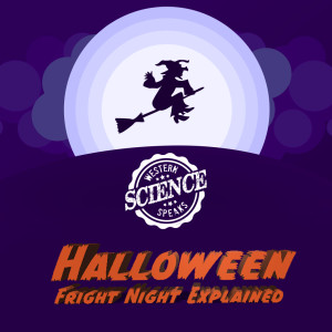 WSS S5E6 Halloween Special: Fright Night Explained