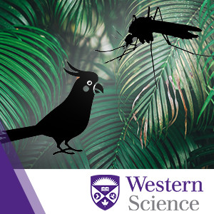 WSS S4E1: Spreading Avian Malaria in the Tropics: The Middleman Mosquito