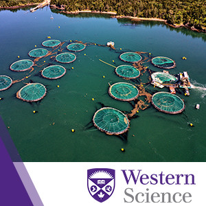 WSS S4E4: The Rise of Fish Farming in Canada