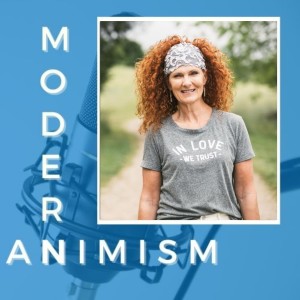 What You Were Taught About Medicine and Health Is Wrong! - Modern Animism