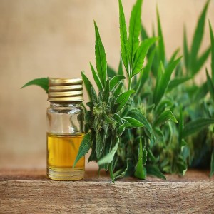 Cbd Oil Benefits