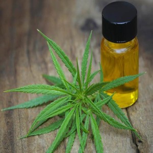 CBD Hemp Oil