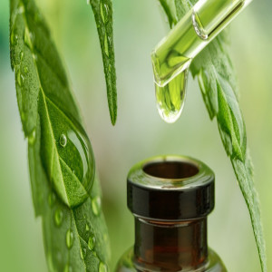 Buy Cbd Oil Online