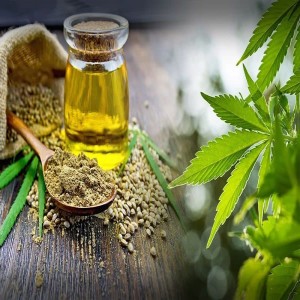 Hemp Oil Vs Cbd Oil Vs Cannabis Oil