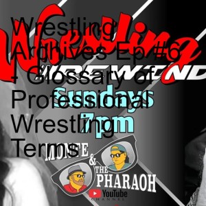 Wrestling Archives Ep #6 - Glossary of Professional Wrestling Terms