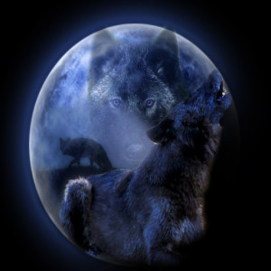 Full Moon January 2020 Wolf Moon Ritual Ideas and information.