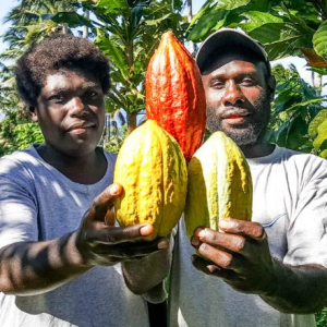 You are not alone: Learning to apply systems thinking in cocoa projects