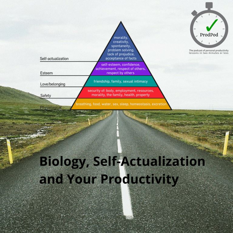 ProdPod: Episode 90 -- Biology, Self-Actualization and Your Productivity