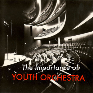 Episode 14 - The Importance Of Youth Orchestra