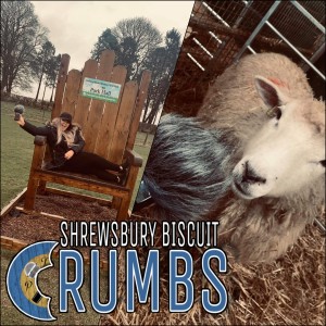 Crumbs: Park Hall Live Lambing Weekend