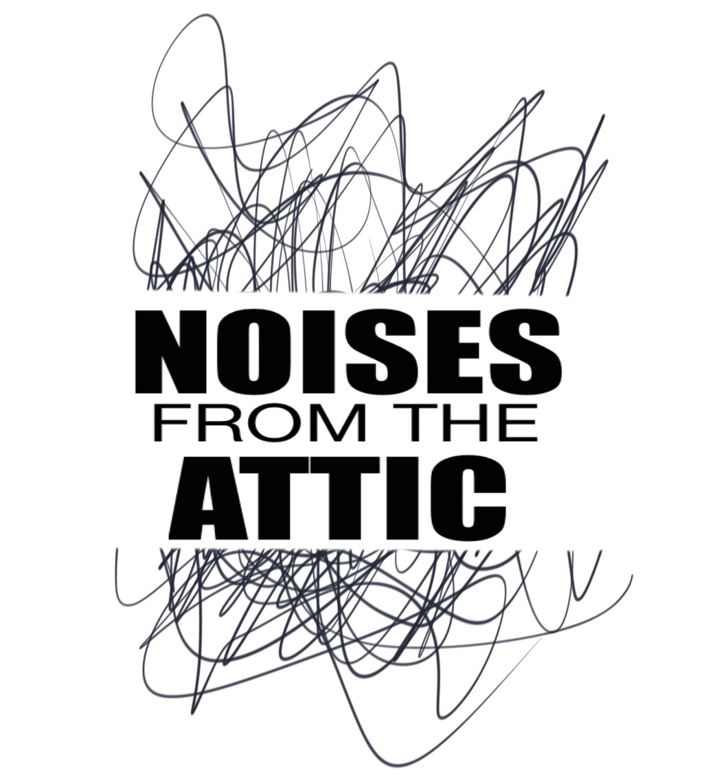 Noises From The Attic