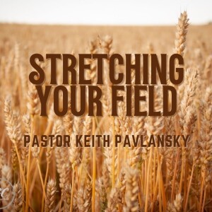 8/20/23 - Stretching Your Field