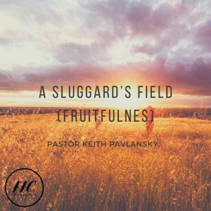 A Sluggard’s Field