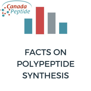 Facts on Polypeptide Synthesis