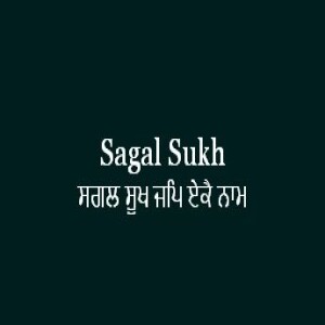ਸਗਲ ਸੂਖ ਜਪਿ ਏਕੈ ਨਾਮ (Sri Guru Granth Sahib Page 392)
