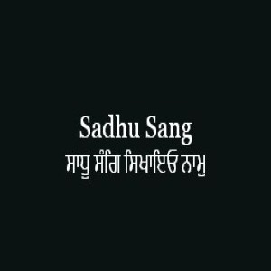 Sadhu Sang Sikhaio Naam (Sri Guru Granth Sahib Page 393)