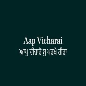 Aap Vicharai So Parakhe Hira (Sri Guru Granth Sahib Page 413)