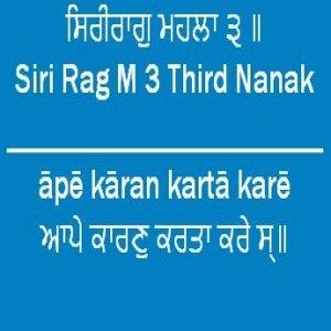 ਆਪੇ ਕਾਰਣੁ ਕਰਤਾ (Sri Guru Granth Sahib Page 37)