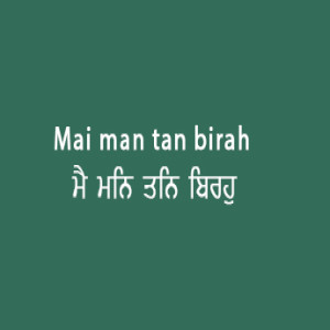 ਮੈ ਮਨਿ ਤਨਿ ਬਿਰਹੁ ਅਤਿ ਅਗਲਾ (Sri Guru Granth Sahib Page 39)