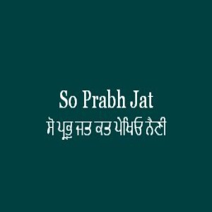 So Prabh Jat Kat Pekhio Naini (Sri Guru Granth Sahib Ang 530)