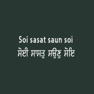 Soi Sasat Saun Soi (Sri Guru Granth Sahib Page 48)