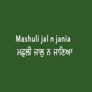 Machuli Jal Na Jania (Sri Guru Granth Sahib Page 55)