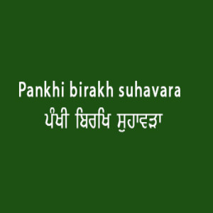 ਪੰਖੀ ਬਿਰਖਿ ਸੁਹਾਵੜਾ (Sri Guru Granth Sahib Page 66)