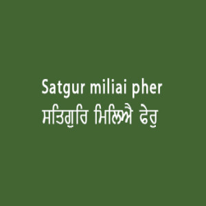 ਸਤਿਗੁਰਿ ਮਿਲਿਐ ਫੇਰੁ ਨ ਪਵੈ (Sri Guru Granth Sahib Page 69)