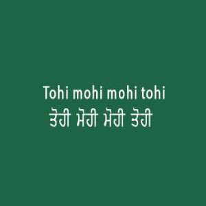 Tohi Mohi Mohi Tohi (Sri Guru Granth Sahib Page 93)