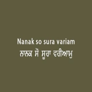 ਨਾਨਕ ਸੋ ਸੂਰਾ ਵਰੀਆਮੁ (Sri Guru Granth Sahib Page 86)